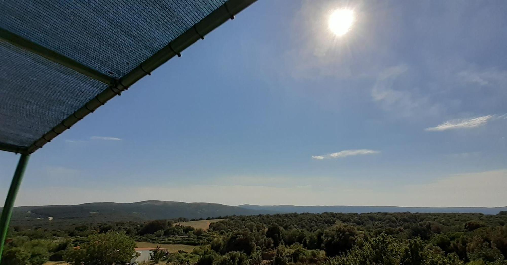 Kuca - Krcina Daire Cres Dış mekan fotoğraf